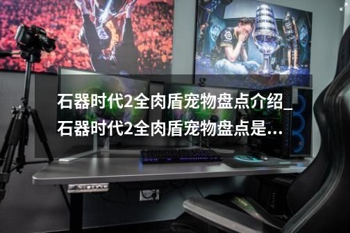 石器时代2全肉盾宠物盘点介绍_石器时代2全肉盾宠物盘点是什么-第1张-游戏信息-云推网