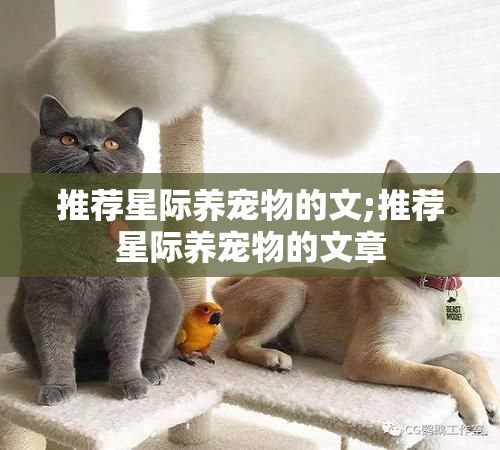 推荐星际养宠物的文;推荐星际养宠物的文章
