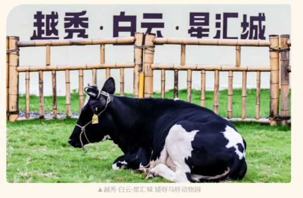 越秀小确幸 | 解锁专属你和毛孩子的幸福家园 