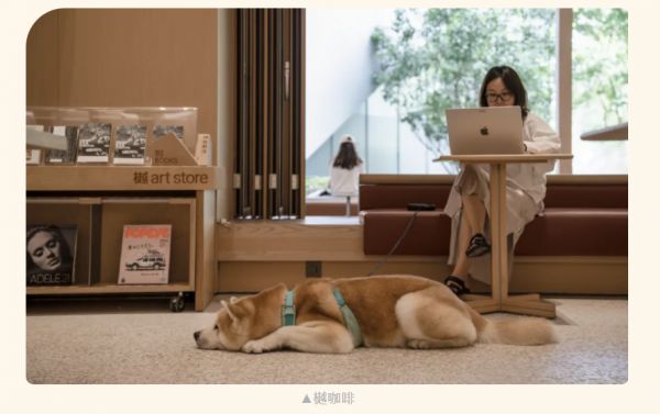 越秀小确幸 | 解锁专属你和毛孩子的幸福家园 