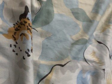 猫咪床上的午睡