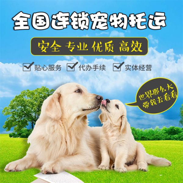 盘县 寄托运 空调专车托运