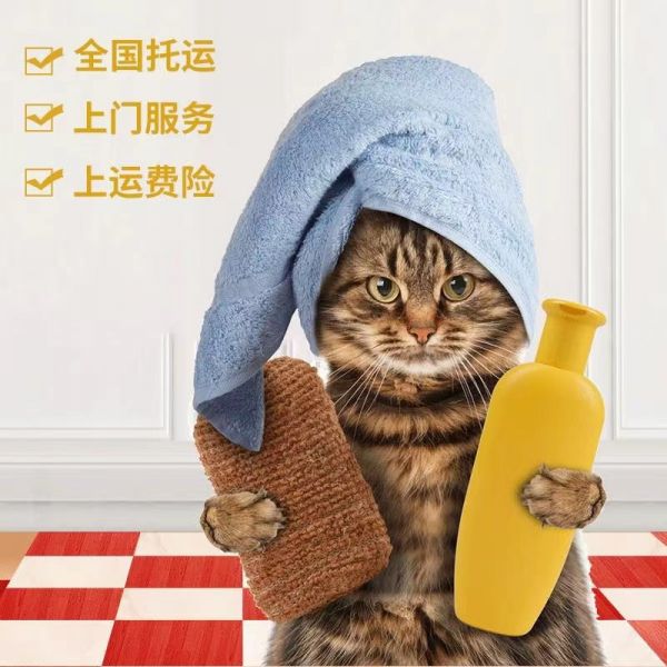 盘县 寄托运 空调专车托运