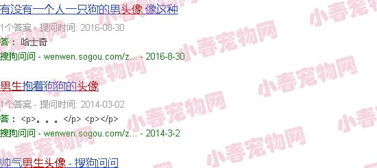 柯基头像男生