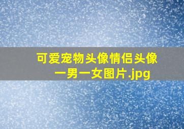 可爱宠物头像情侣头像一男一女图片