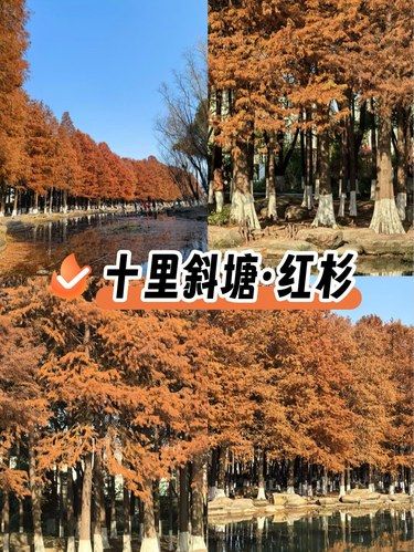 苏州的免费公园真的令人无语…
