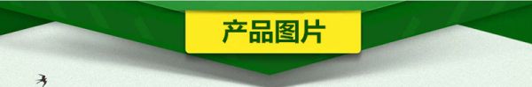模板1