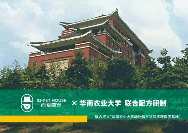 雕说行业内卷 | 宠物国货品牌为什么开始“校企合作”了？
