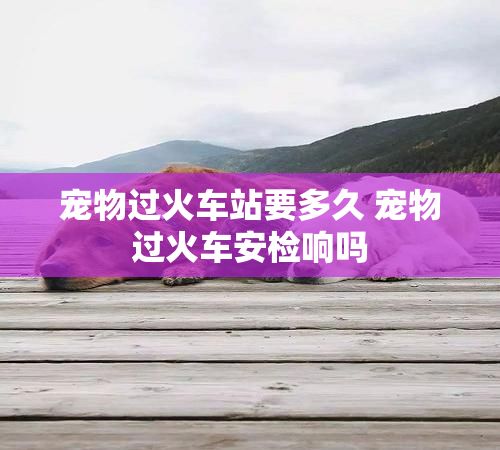 宠物过火车站要多久 宠物过火车安检响吗
