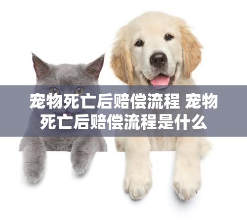 宠物死亡后赔偿流程 宠物死亡后赔偿流程是什么