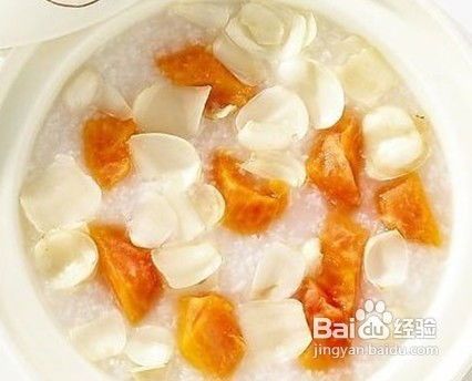 鲨鱼宝宝喂养指南:家养小鲨鱼的营养食谱