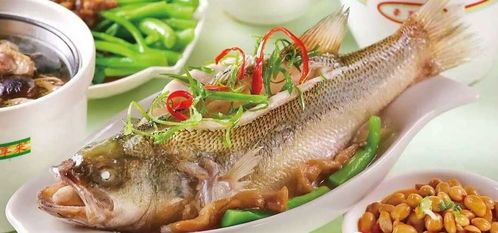 3厘米草金鱼的营养食谱:适合它们的健康食物指南