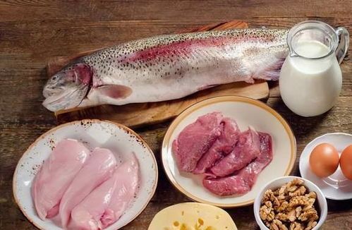 3厘米草金鱼的营养食谱:适合它们的健康食物指南