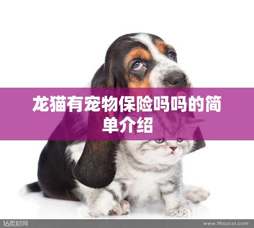 龙猫有宠物保险吗吗的简单介绍