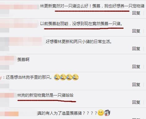 明星宠物才艺多，杨颖的会瞪眼，朱茵的是媒人，还有的没眼看！