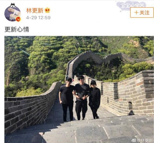 明星宠物才艺多，杨颖的会瞪眼，朱茵的是媒人，还有的没眼看！