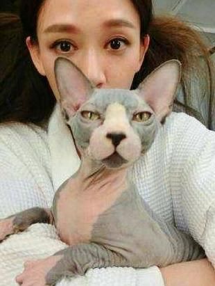 明星宠物才艺多，杨颖的会瞪眼，朱茵的是媒人，还有的没眼看！