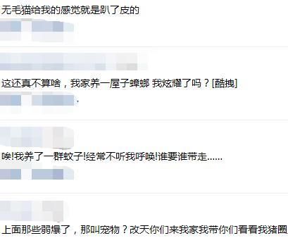 明星宠物才艺多，杨颖的会瞪眼，朱茵的是媒人，还有的没眼看！