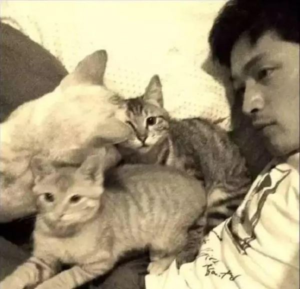 明星宠物！胡歌爱猫成狂，赵丽颖竟因这个养宠物？她的有点奇特！