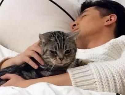 明星宠物！胡歌爱猫成狂，赵丽颖竟因这个养宠物？她的有点奇特！