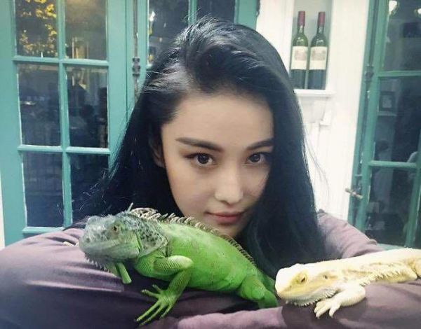 明星宠物！胡歌爱猫成狂，赵丽颖竟因这个养宠物？她的有点奇特！