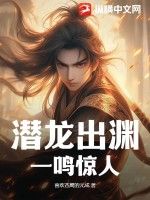 囧月风华录