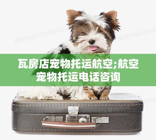 瓦房店宠物托运航空;航空宠物托运电话咨询