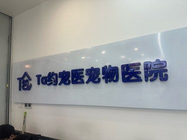 他家噶蛋技术[啤酒]