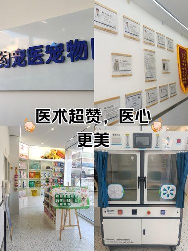 医术超赞 医心更美~