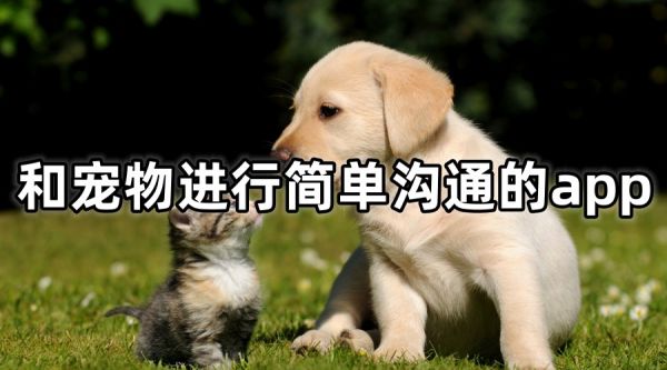 宠物翻译器中文版免费下载安装-宠物翻译器免费版app-宠物翻译器在线使用