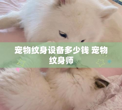 宠物纹身设备多少钱 宠物纹身师