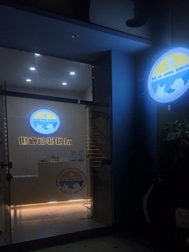 《和欧巴来世嘉动物医院给爱宠驱虫啦》