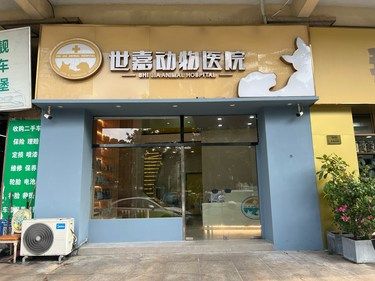 一定要吹爆陈义洲医生！真的是太厉害了