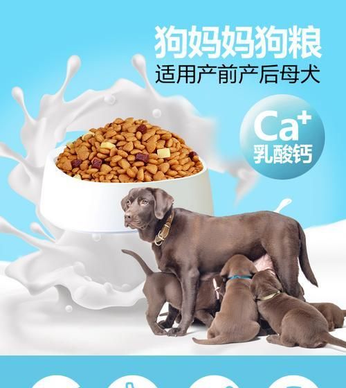 刚生完小狗的母狗应该吃多少狗粮