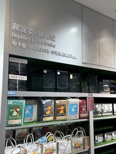 龙岗有爬宠店啦！