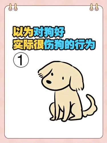 以为对狗好，其实很伤害狗狗的行为！