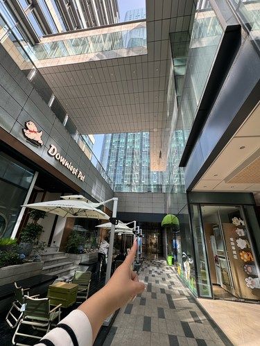 合肥新开的!小狗店！