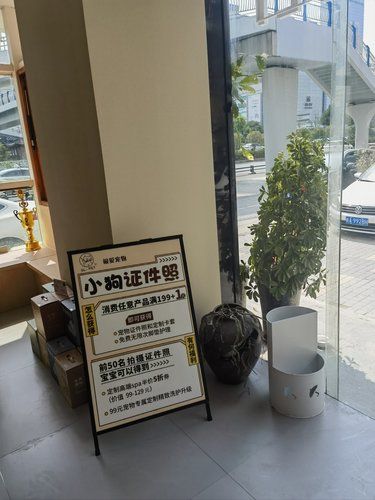 离了大谱的宠物商店被我遇到了！！！