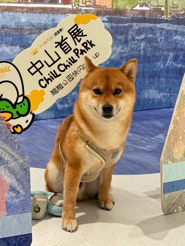 替你们踩过点啦，中山这个新商场真的……