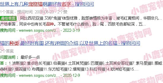 宠物猫种类名称