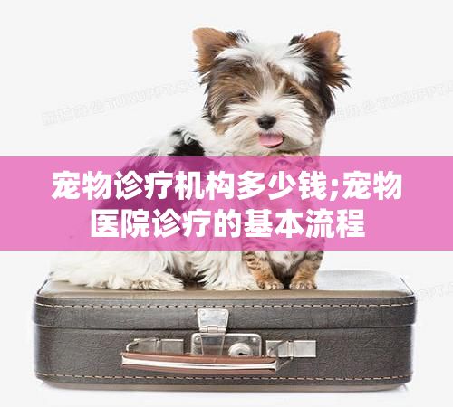 宠物诊疗机构多少钱;宠物医院诊疗的基本流程