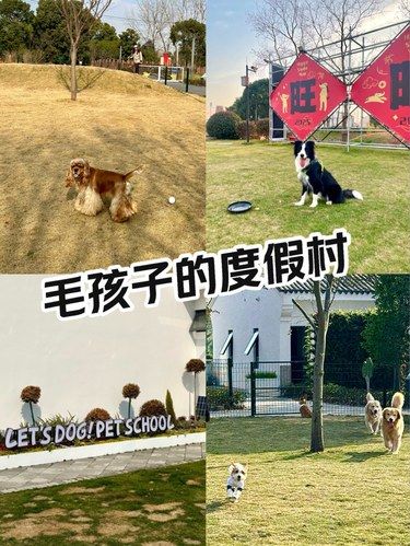 一进度假村大门，毛孩子不要太开心喔！
