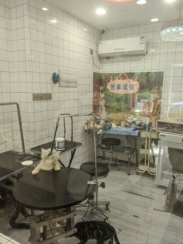 宠物店欢乐多