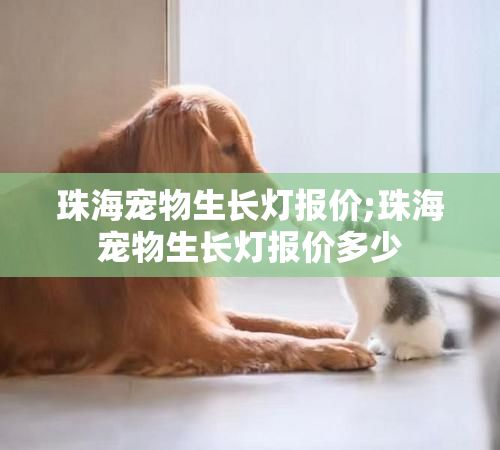 珠海宠物生长灯报价;珠海宠物生长灯报价多少