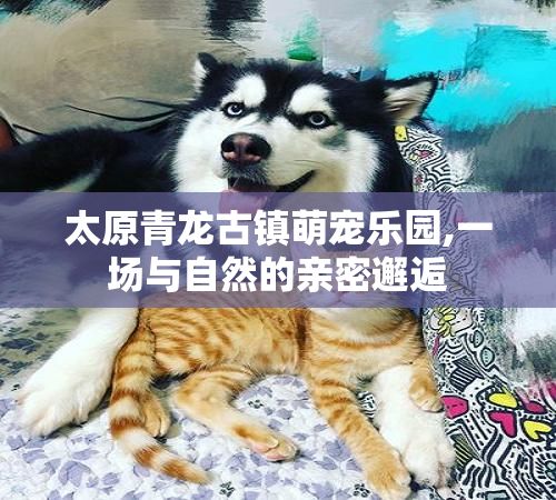 太原青龙古镇萌宠乐园,一场与自然的亲密邂逅