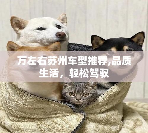 万左右苏州车型推荐,品质生活，轻松驾驭
