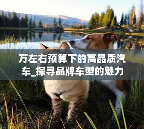 万左右预算下的高品质汽车_探寻品牌车型的魅力