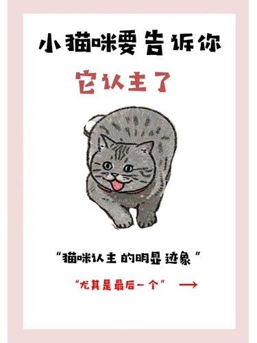 猫咪要告诉你，它认主了，你中了几条呢？