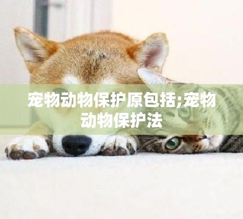 宠物动物保护原包括;宠物动物保护法