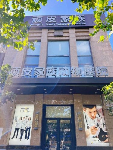 ‼️推荐这家医术精湛且服务很赞的宠物医院